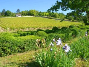 Uebernachten im Schloss-Wein und Wandern