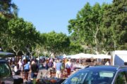 Wandern Provence-Markt in Villeneuve