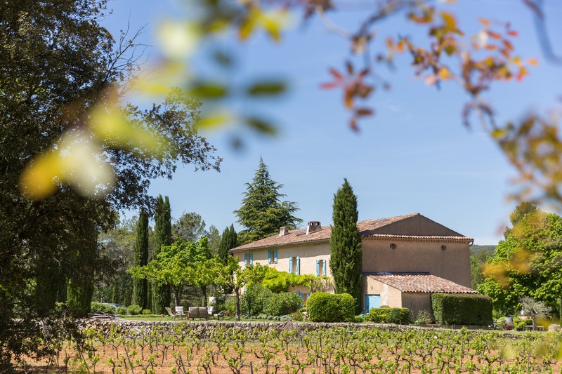 Provence mit Kindern-Weingut in den Weinbergen