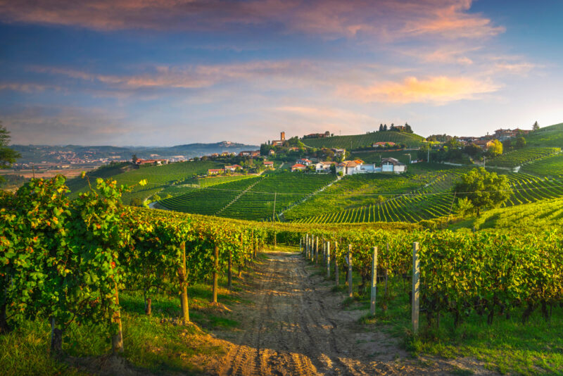 Piemont Hauptstadt: Weingüter im Piemont in Norditalien.