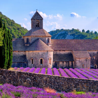 Provence feeling - Lavendelblüte vor dem Kloster Sénanque in der Provence.